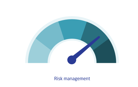 manage risks