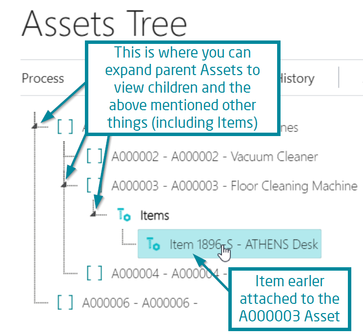 An item on the Assets Tree